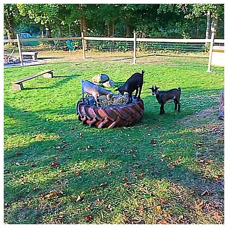 Dom wakacyjny Hestkaer Family