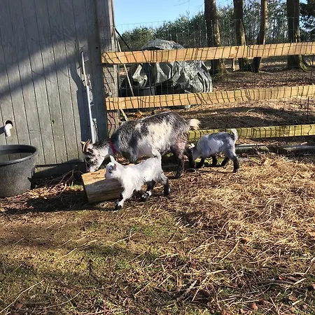 Hestkaer Family Dom wakacyjny