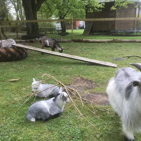 Dom wakacyjny Hestkaer Family