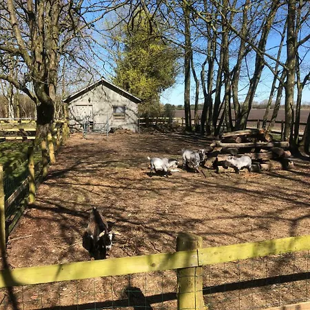 Hestkaer Family Dom wakacyjny *