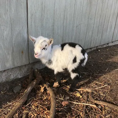 Hestkaer Family Nyaraló *