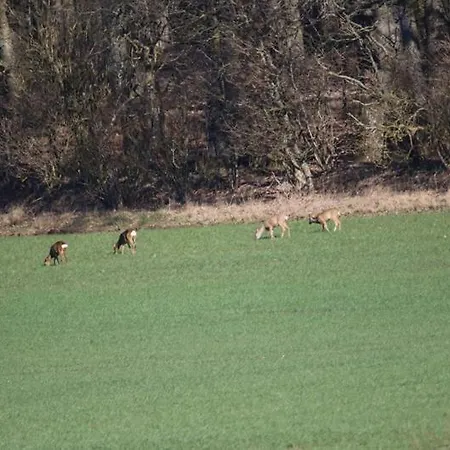 ヘースケア ファミリー ルームズ * グランストゥ