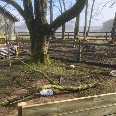 Hestkaer Family Grindsted