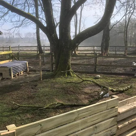 Holiday home Hestkaer Family Grindsted