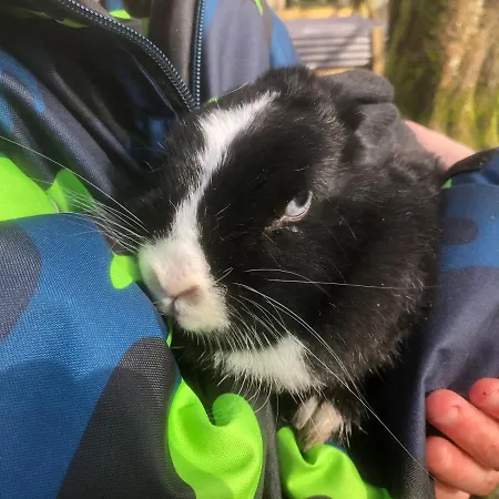 Hestkaer Family Grindsted