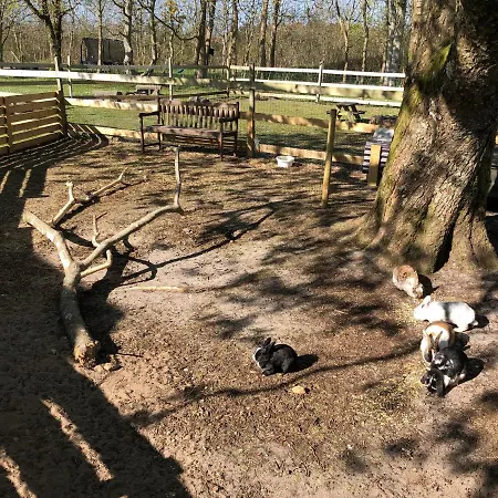 Hestkaer Family * Grindsted