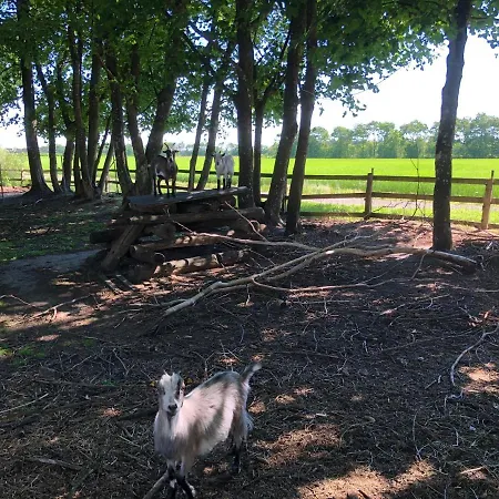 Nyaraló Hestkaer Family