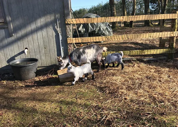 Hestkaer Family Vakantiehuis