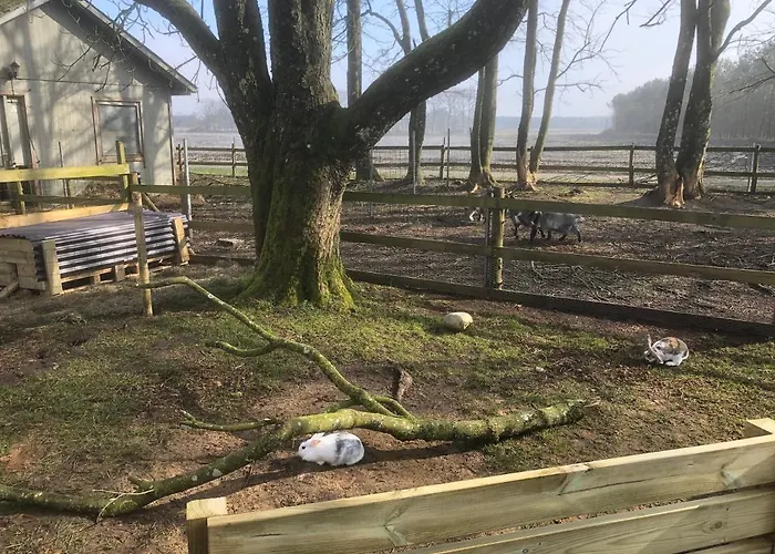 ヘースケア ファミリー ルームズ グランストゥ