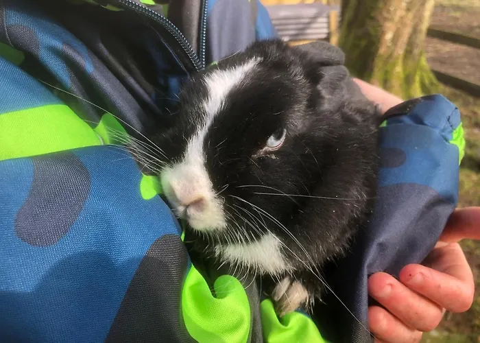 ヘースケア ファミリー ルームズ グランストゥ